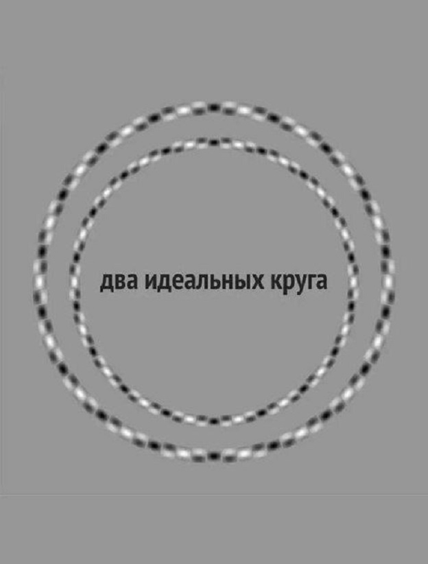 Весёлый полтишок 19.08.25