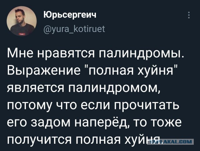 "У меня с мозгами не всё в порядке" - ненормальные картинки
