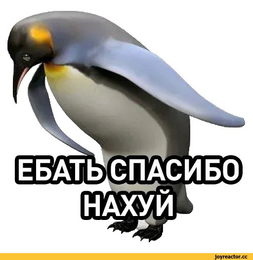 Госдума приняла во II чтении законопроект о повышении НДС с 20 до 22%