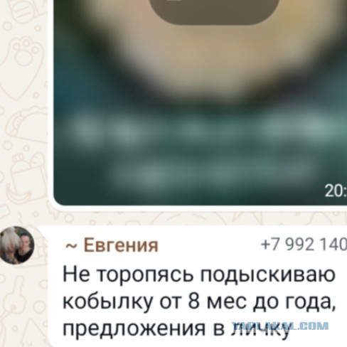 Весёлая ферма, где ты?