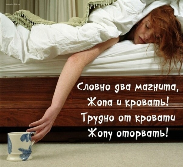 Картиночки, баянчики 05 февраля