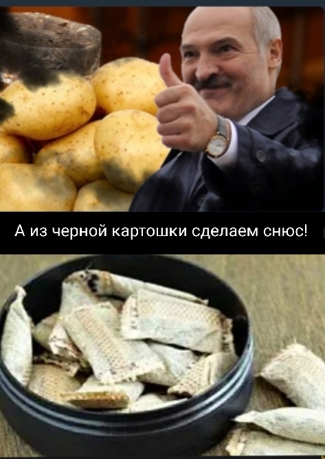 «И что, под язык кладёшь и голова кружится?»