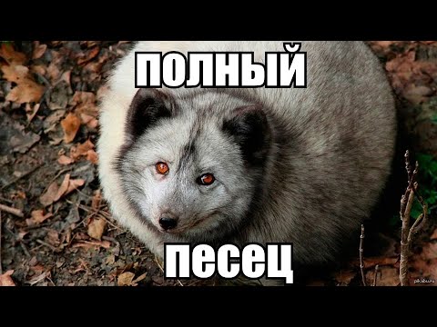 Чет страшновато..