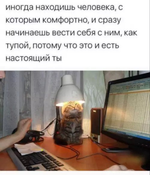 Картиночки, баянчики 10 апреля
