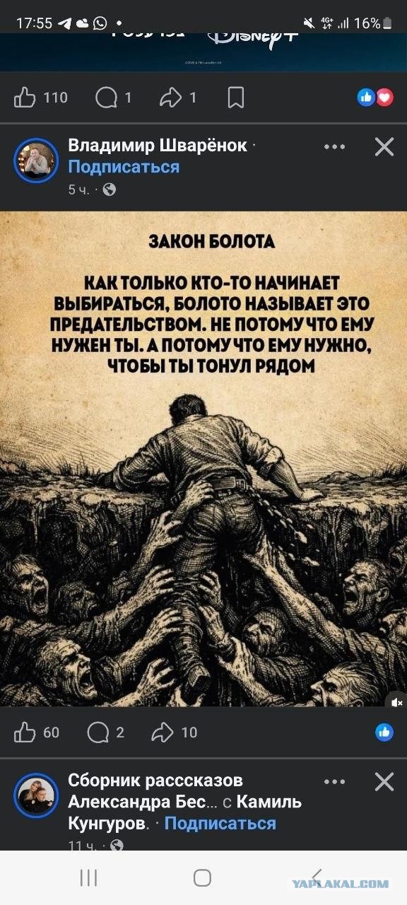 Ксения Собчак обратилась в СК с просьбой проверить высказывания Владимира Соловьёва о Виктории Боне