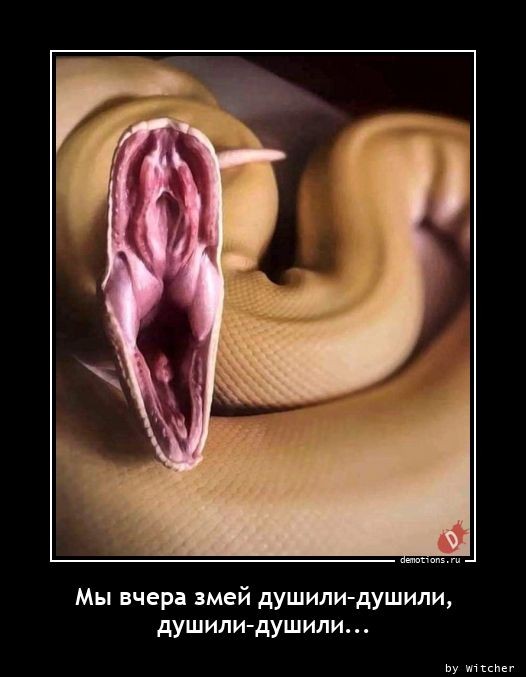 Мир отмечает День мастурбации