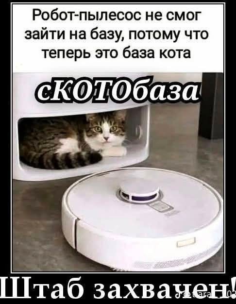 Маленькая пятница