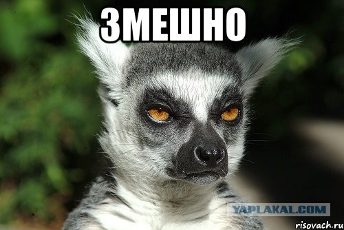 Не говори "гоп"