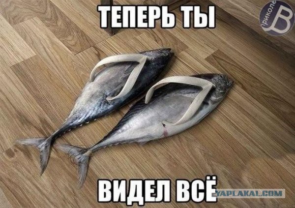 Теперь ты видел всё