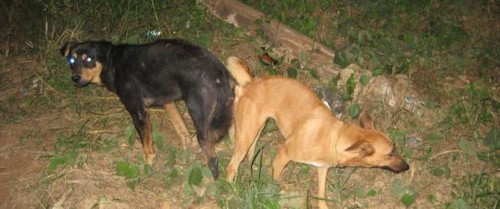 Бобслеист Джонни Куин застрял в лифте.