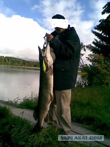 Крутим и гоним