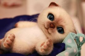 Марш предателей