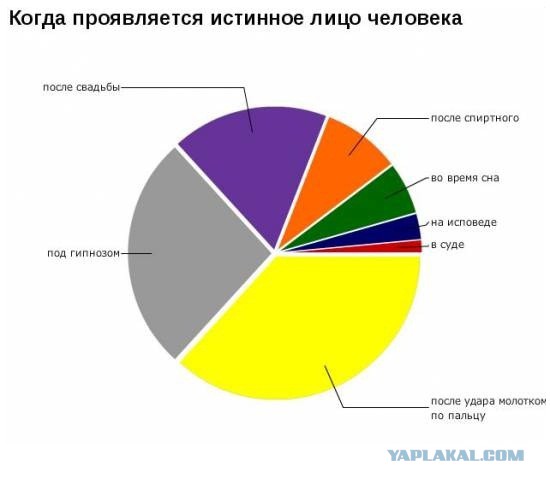 33 ироничных факта о нашей жизни в графиках