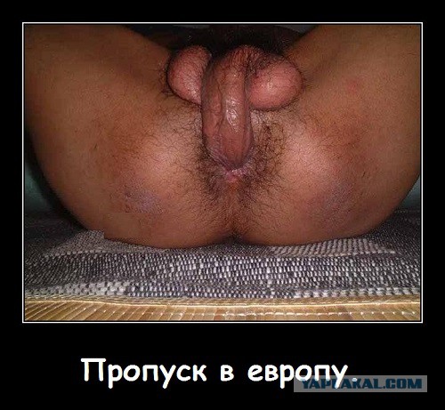 Приобщение к Европе