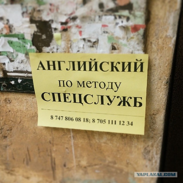 Жемчужина Казахстана! Almaty Tapok Edition