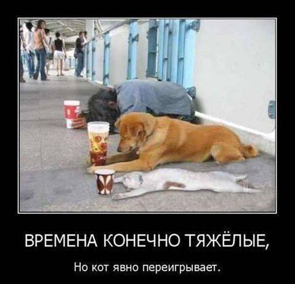 Немного смешных картинок из сети