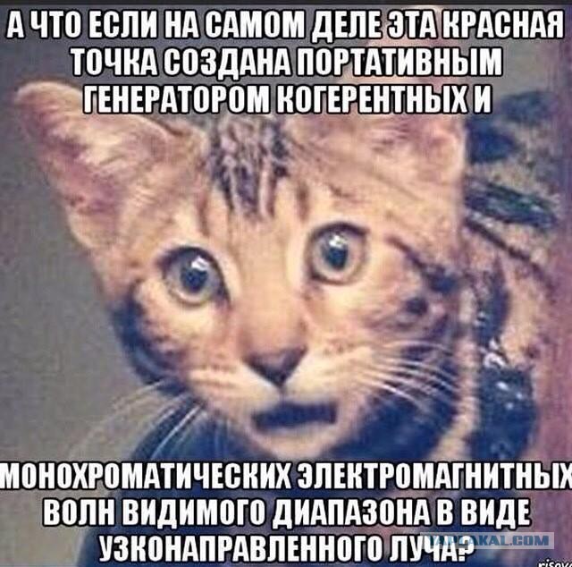 Бойся друзей а не врагов. Бойся друзей а не врагов. Коты друзья. Бойся друзей а не врагов. Хомяк нцжкн чтобы показать детям чмерть.