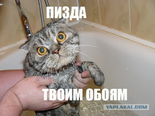 Просто приколы