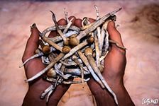 В населенных пунктах до 50 км/ч.
