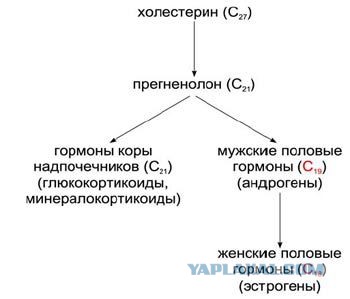Всё больше аргументов в пользу существования Бога