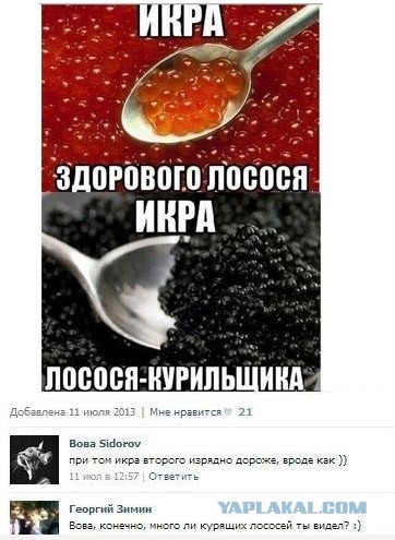 Смешные комментарии из социальных сетей