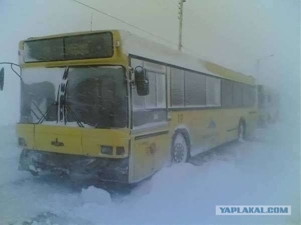ЛиАЗ - Ликинский Автобусный Завод