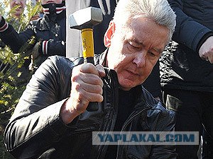 Московская плитка - прошла всего лишь одна зима