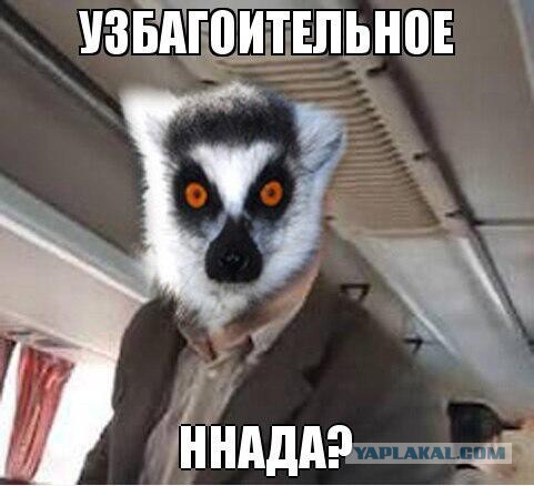 Подкаты в сети - 4