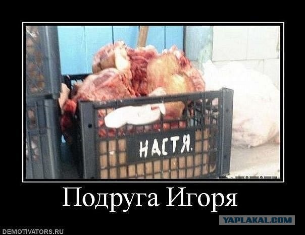 Как организовать срочный розыск человека