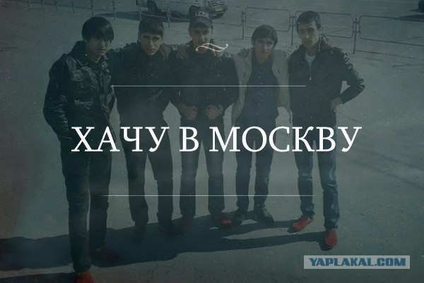 Просто картинки