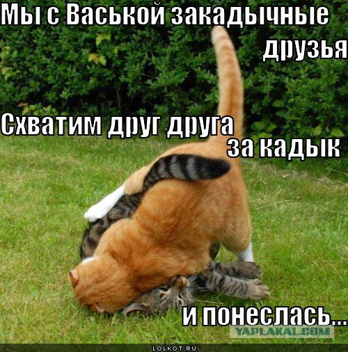 Когда кто-то плюсует твой заминусованый пост