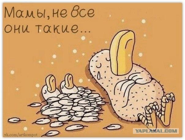 Материнская любовь