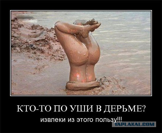 Смешные комментарии 02.08.2015