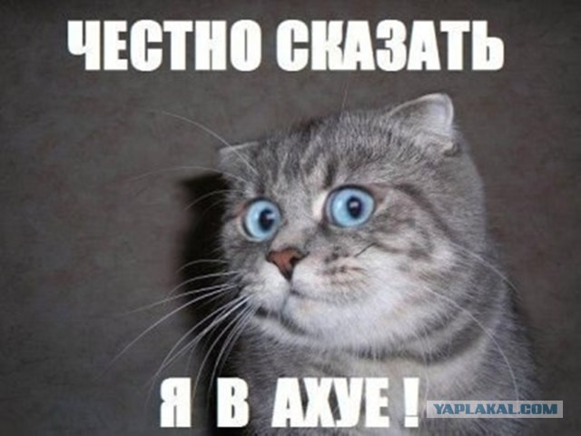 Украина будет Евро-ПА