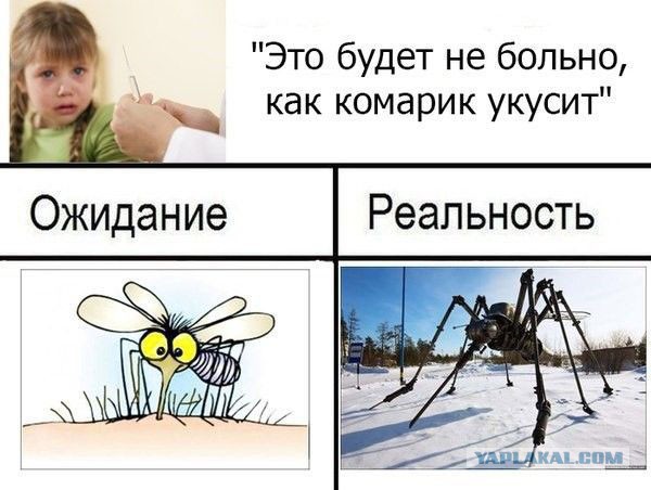 Весёлые картинки