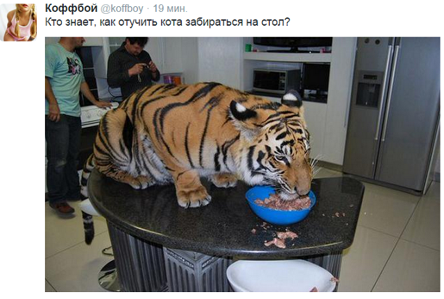 Смешные комментарии 27.09.2015