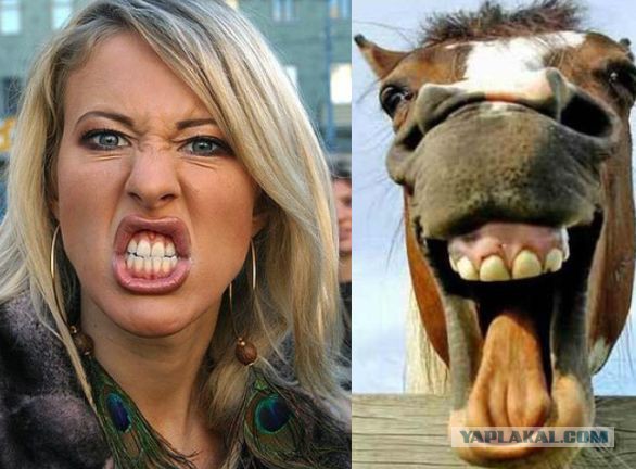 Не удержалась