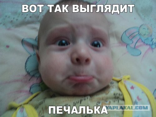 Приколы из сети
