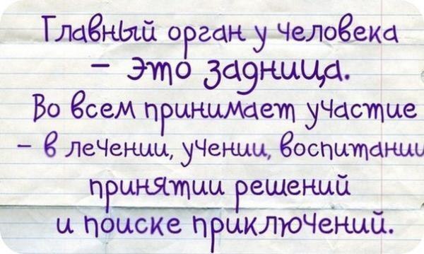 Картинки и демотиваторы