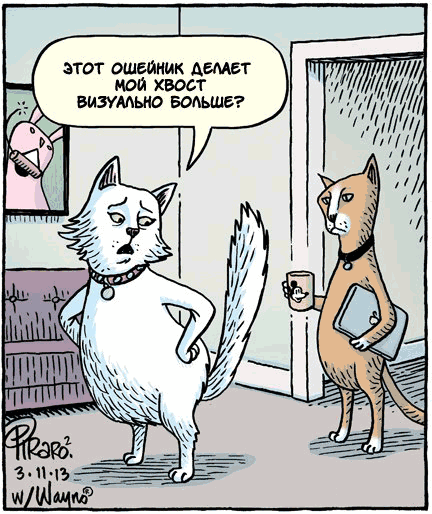 Моя девушка давно просила купить весы