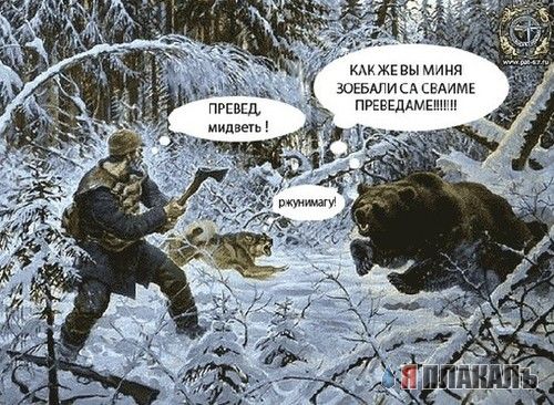 Превед медвед!