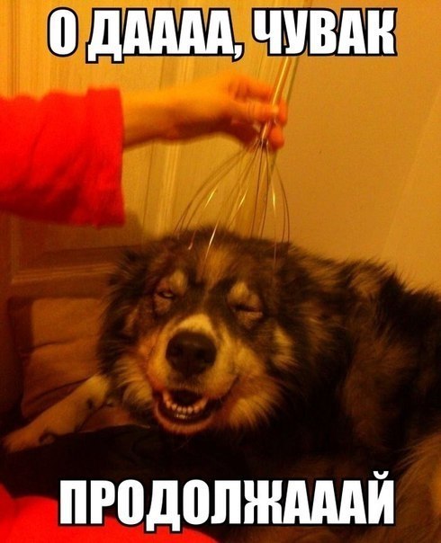 Картинки на пятницу