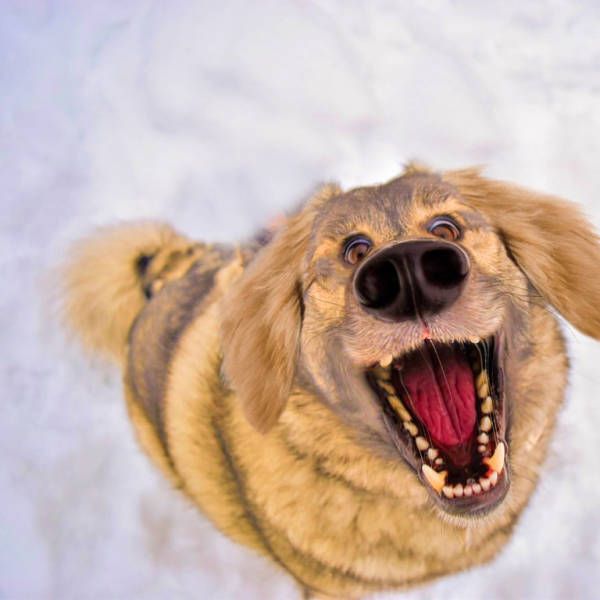 Подборка интересных и смешных картинок