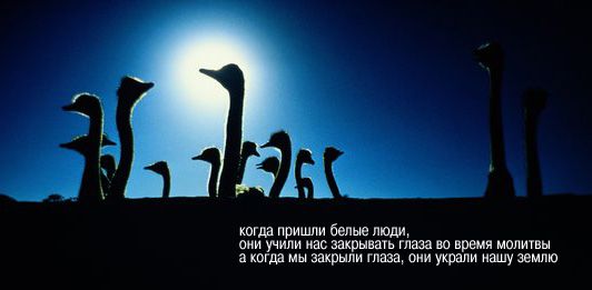 МЕГАПОДБОРКА