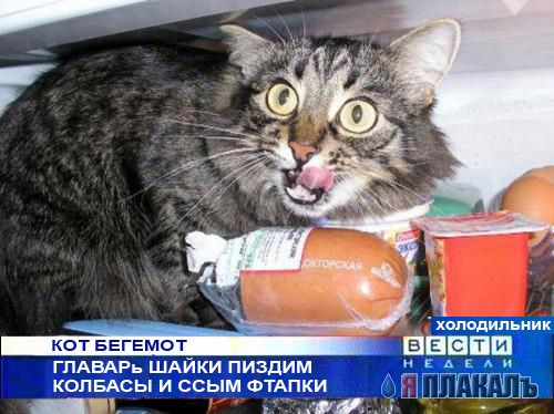 Фотожаба: Вера Грищенкова