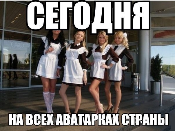 Порция картинок