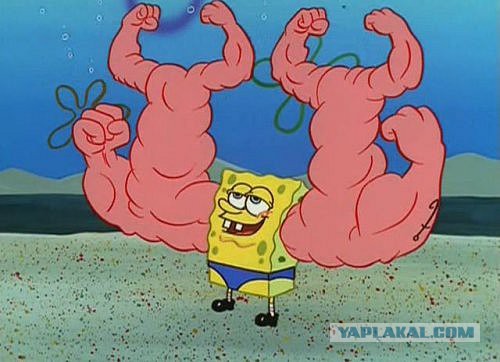 Синтольный Вадир всё еще жив