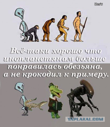 Немного картинок из этих ваших интернетов