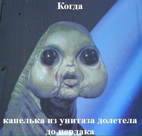 Юмор не для всех