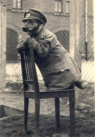 Фотографии к "Нахальному минированию" и "Лехе"